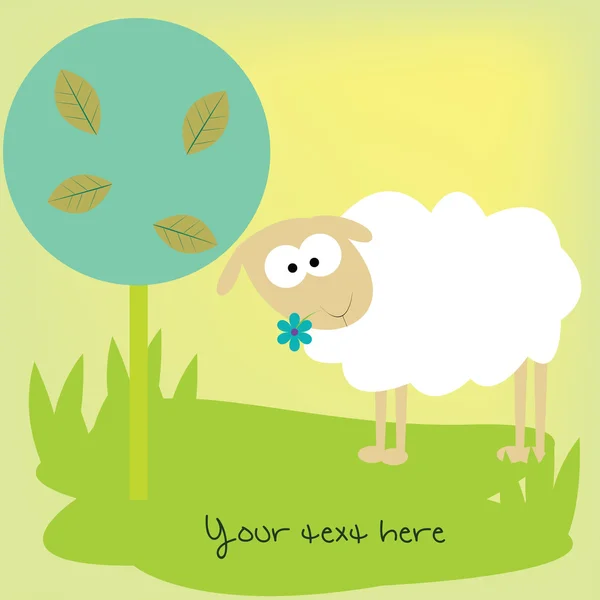 かわいい羊のカード — ストック写真