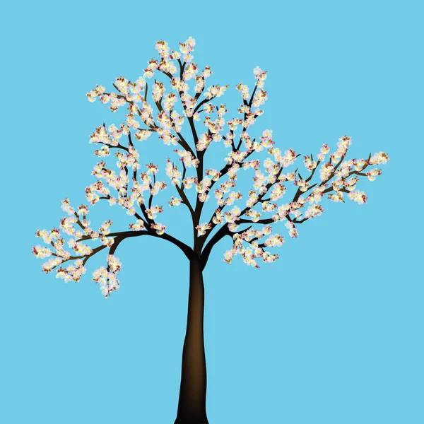 Cerejeira isolada sobre o céu azul — Fotografia de Stock