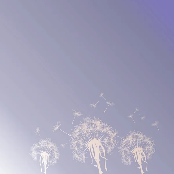 Löwenzahn Silhouetten am Himmel — Stockfoto