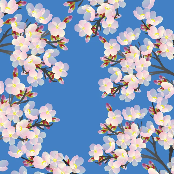 Fina körsbär blommor på gren bloomi — Stockfoto