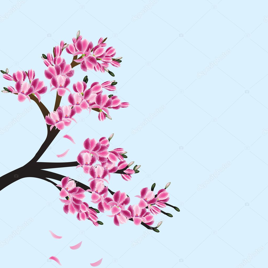 1 125 Drawing Magnolia Tree Stock Photos Images Download Drawing Magnolia Tree Pictures On Depositphotos