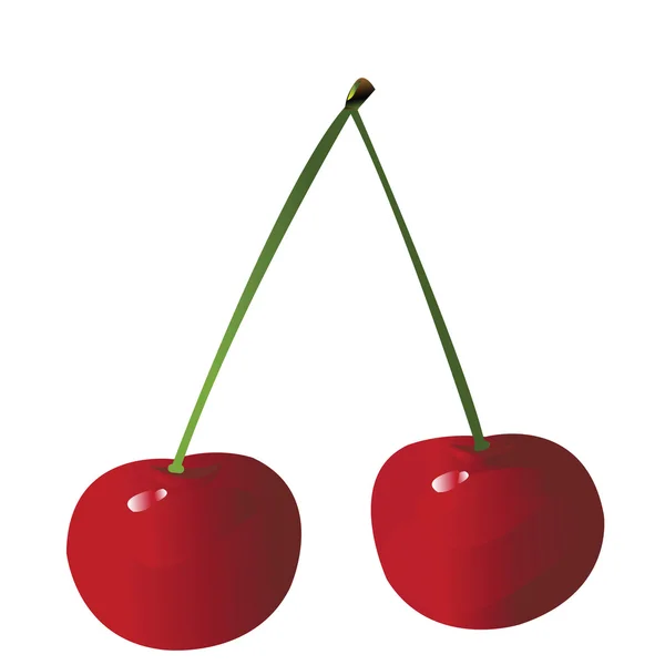 Stock image Two cherries background