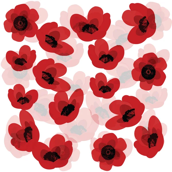 Background with poppies — Stock Photo, Image
