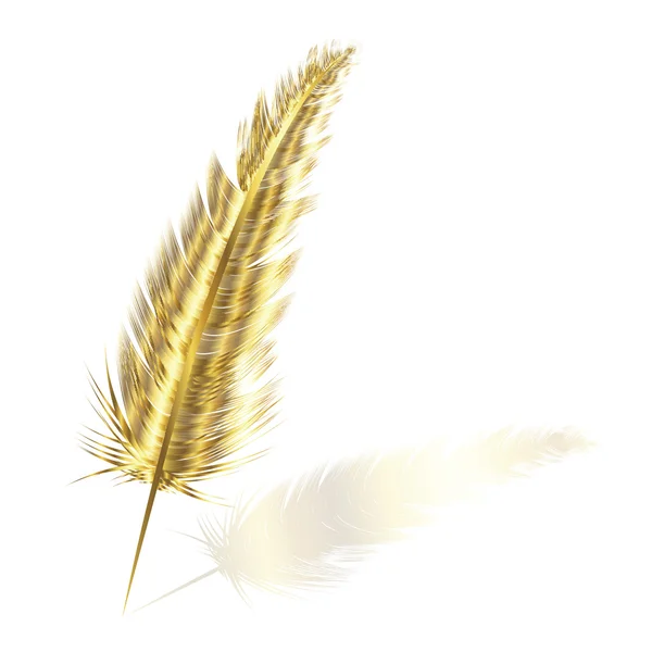 Golden feather — Stock Photo, Image