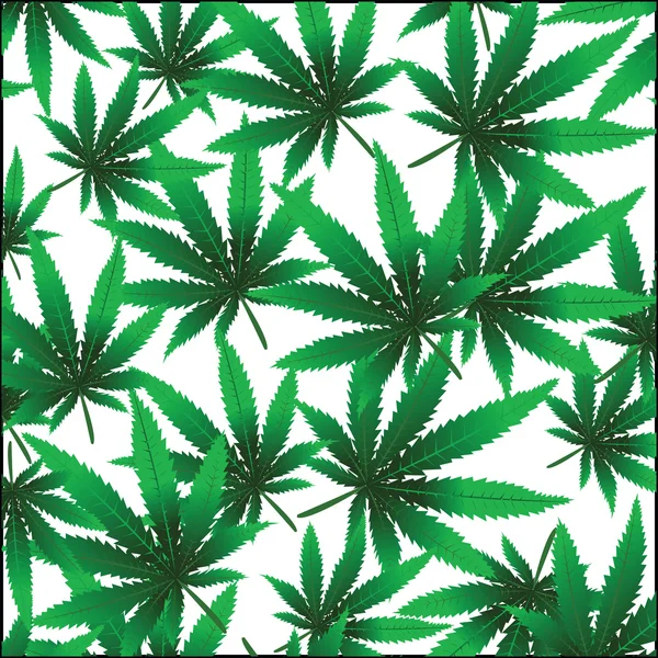 Marihuana foliaje aislada sobre fondo blanco — Foto de Stock