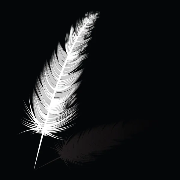White feather — Stockfoto