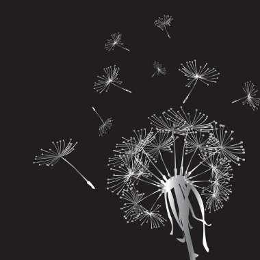 Silver dandelion in the wind clipart