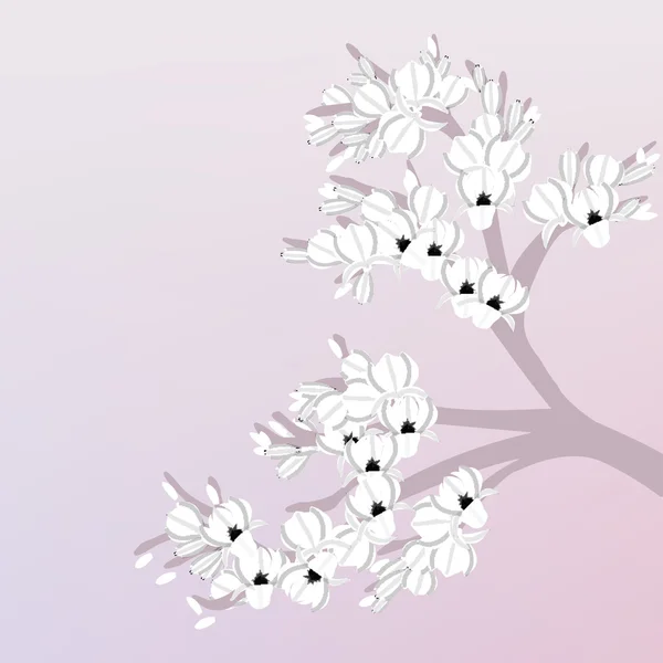 Magnolia tak in pastel kleuren — Stockfoto