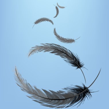 Feathers in the wind clipart