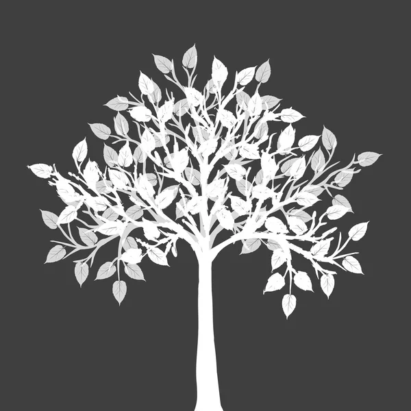 Weißer Baum — Stockfoto