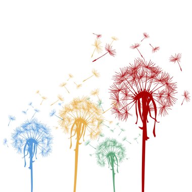 Colored dandelions clipart