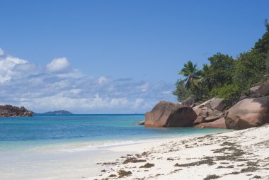 güzel bir plaj anse matelot praslin