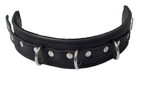 Black leather collar with 3 rings — Stock Photo, Image