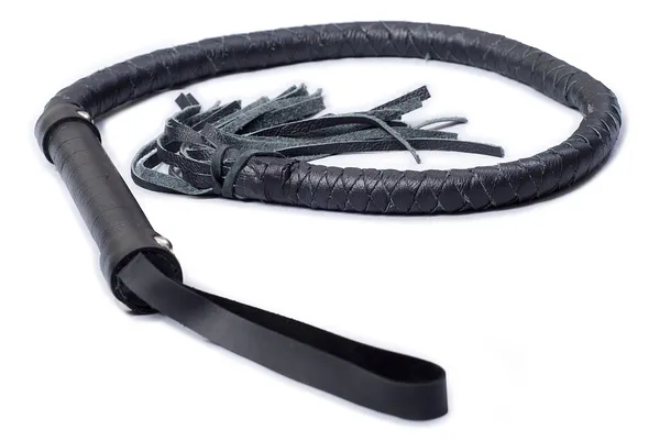 Black Single Tail Whip. — Stock Photo, Image