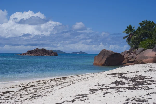 Пляж анс Matelot Praslin island, Seych — стокове фото