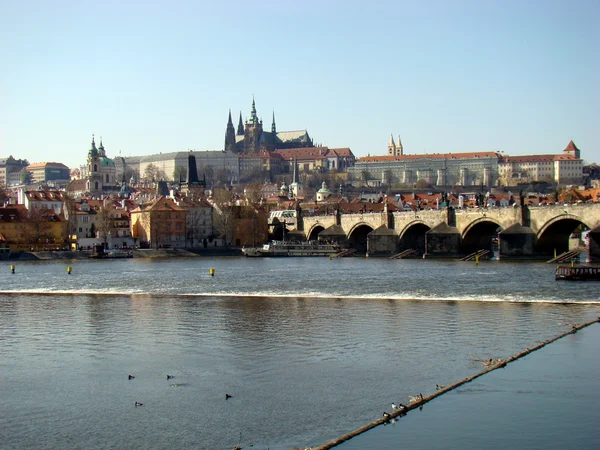 Le Château de Prague — Photo