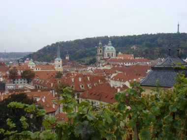 PRAG