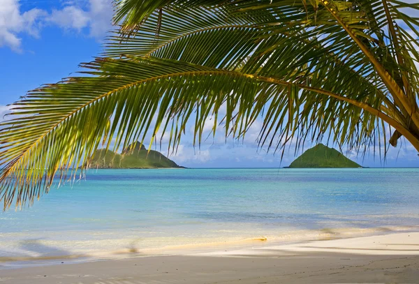 Ilhas Mokulua ao largo da praia de lanikai Fotografia De Stock