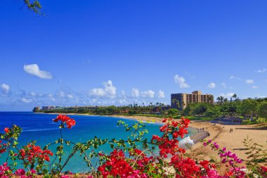 Kahana beach, maui clipart