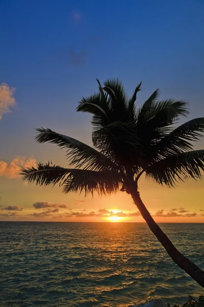 Pacific soluppgången vid lanikai — Stockfoto