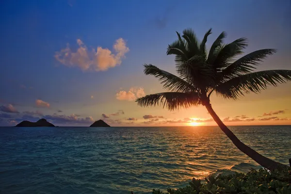 Pacific zonsopgang op lanikai — Stockfoto
