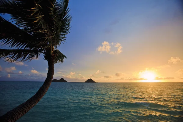 太平洋日出，拉尼凯 — 图库照片