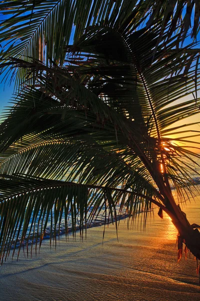Ειρηνικού Ανατολή του ηλίου σε lanikai — Φωτογραφία Αρχείου