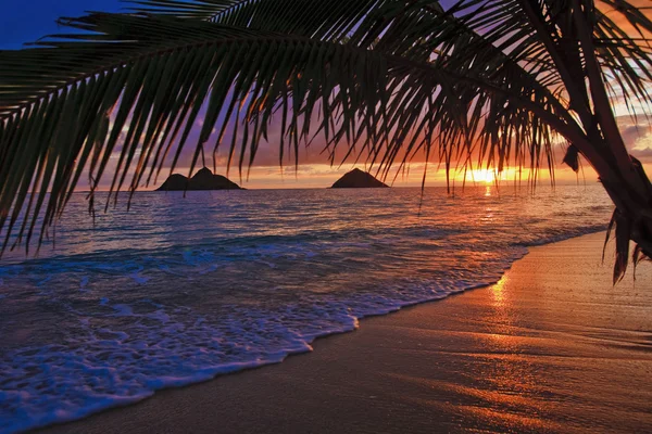 Pacific zonsopgang op lanikai — Stockfoto