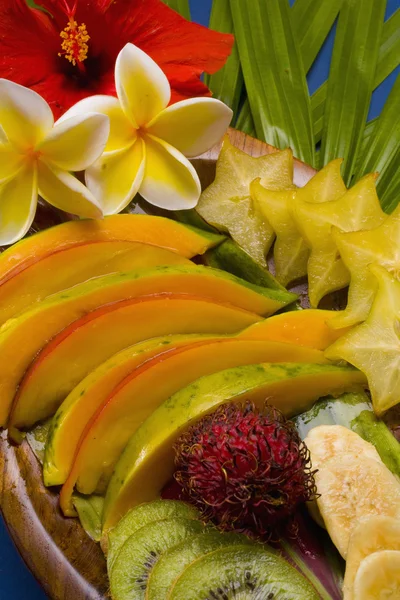 Auswahl tropischer Früchte — Stockfoto