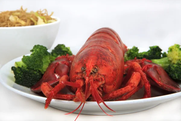 stock image Cooked maine lobster