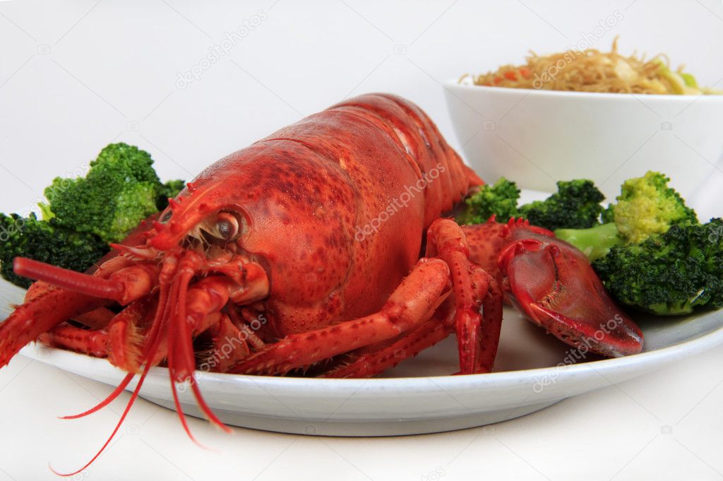 Cooked maine lobster