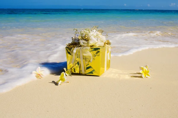 Un cadeau bien enveloppé flotte sur le rivage — Photo