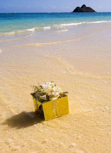 Parlak sarılmış hediye kıyıya yüzen — Stok fotoğraf