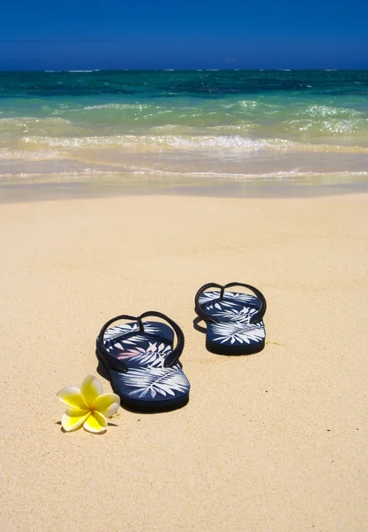 Sandálias e pegadas na costa — Fotografia de Stock