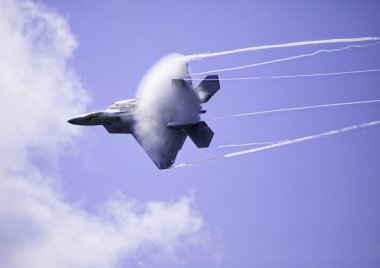 F-22 Raptor