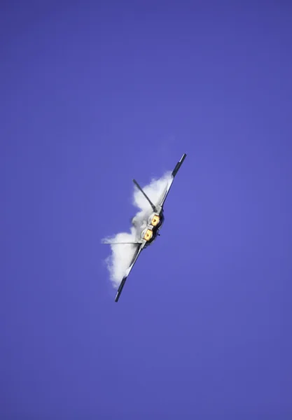 F-22 Raptor —  Fotos de Stock