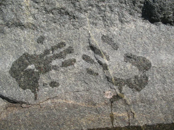 在石头上的湿的手印 — 图库照片