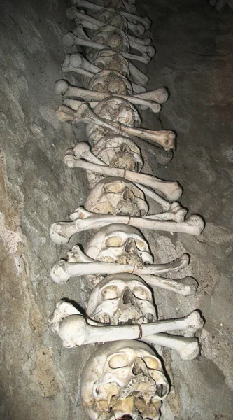 Ludzi czaszki i kości — Zdjęcie stockowe