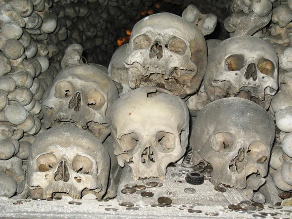 Humam skulls and bones — Stock Photo, Image