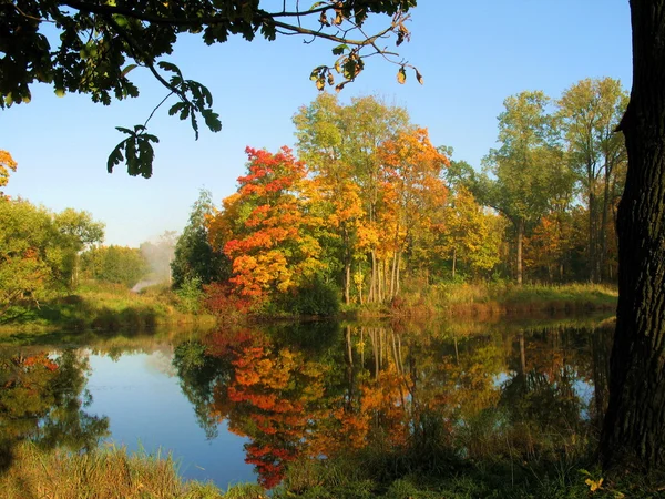 stock image Autumn landscape