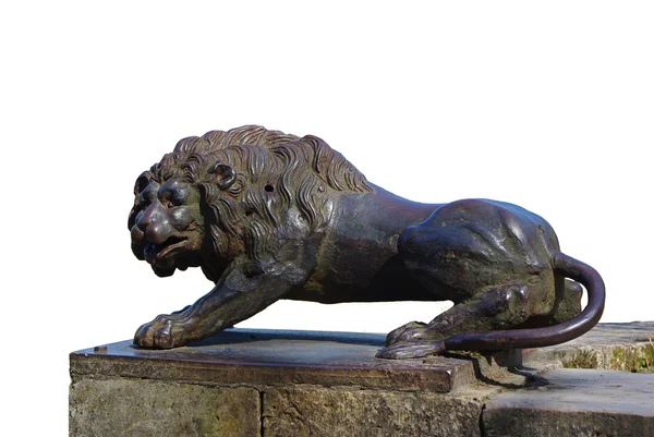 Scultura in bronzo leone — Foto Stock