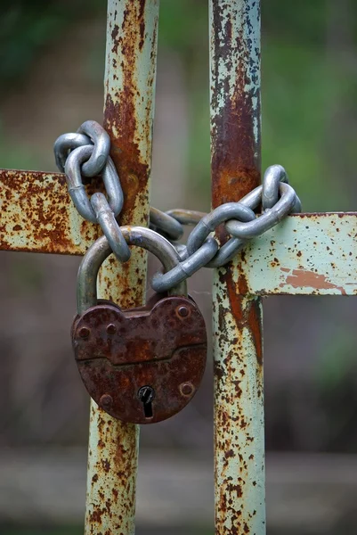 Puertas de hierro viejo cerrado wiyh cadena y candado —  Fotos de Stock