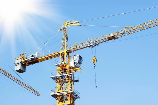 stock image Crane