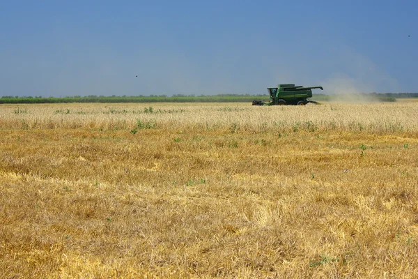 stock image Harvester in the field