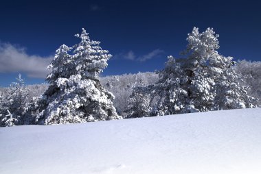 Kış