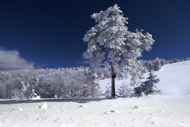 Kış