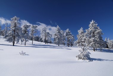 Kış