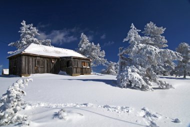 dağ dağ evi