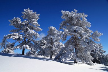 Kış