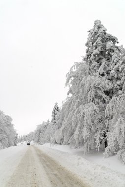 trafik yolda kar